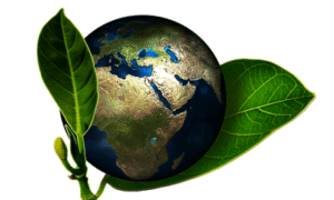 ecologique