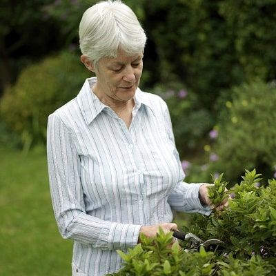 Comment et quand faut-il tailler sa haie? | Efnudat