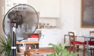 ventilateur-brumisateur-avantages-vous-pour