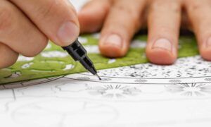 concevoir-un-plan-de-jardin.jpg