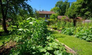permaculture