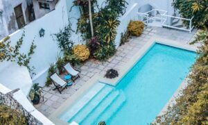 piscine paradisiaque
