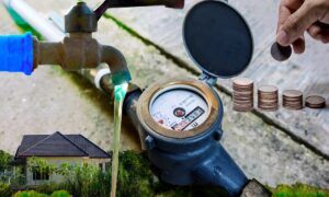 Comment choisir sa pompe à eau