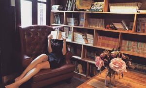 fauteuil club