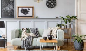 Salon avec des décorations