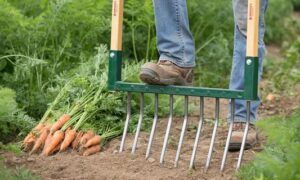 Grelinette : quelle version choisir ? grelinette