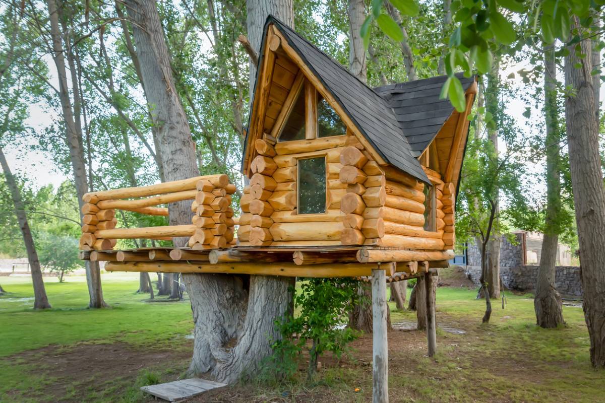 Tutoriel construire cabane dans les arbres nos meilleurs conseils — free download
