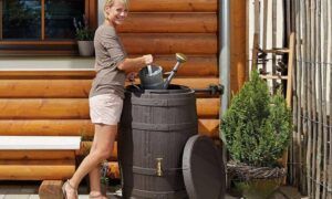 Le récupérateur d'eau de pluie, vraiment utile ? Récupérateur d'eau de pluie