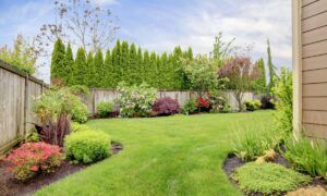 entretien de jardin