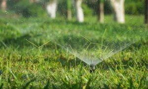 arrosage goutte à goutte sans pression 1