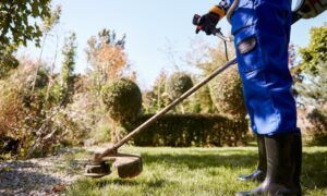 Entretien saisonnier : comment avoir un beau jardin toute l’année ? Jardinier utilisant une débroussailleuse dans un jardin